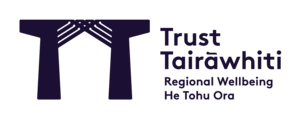 Trust Tairawhiti Logo Horizontal RGB 302x119 0de1024