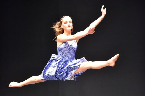 179135 dancing web 1280px