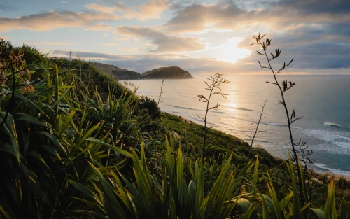 20241118 MakaroriViewpoint001low res