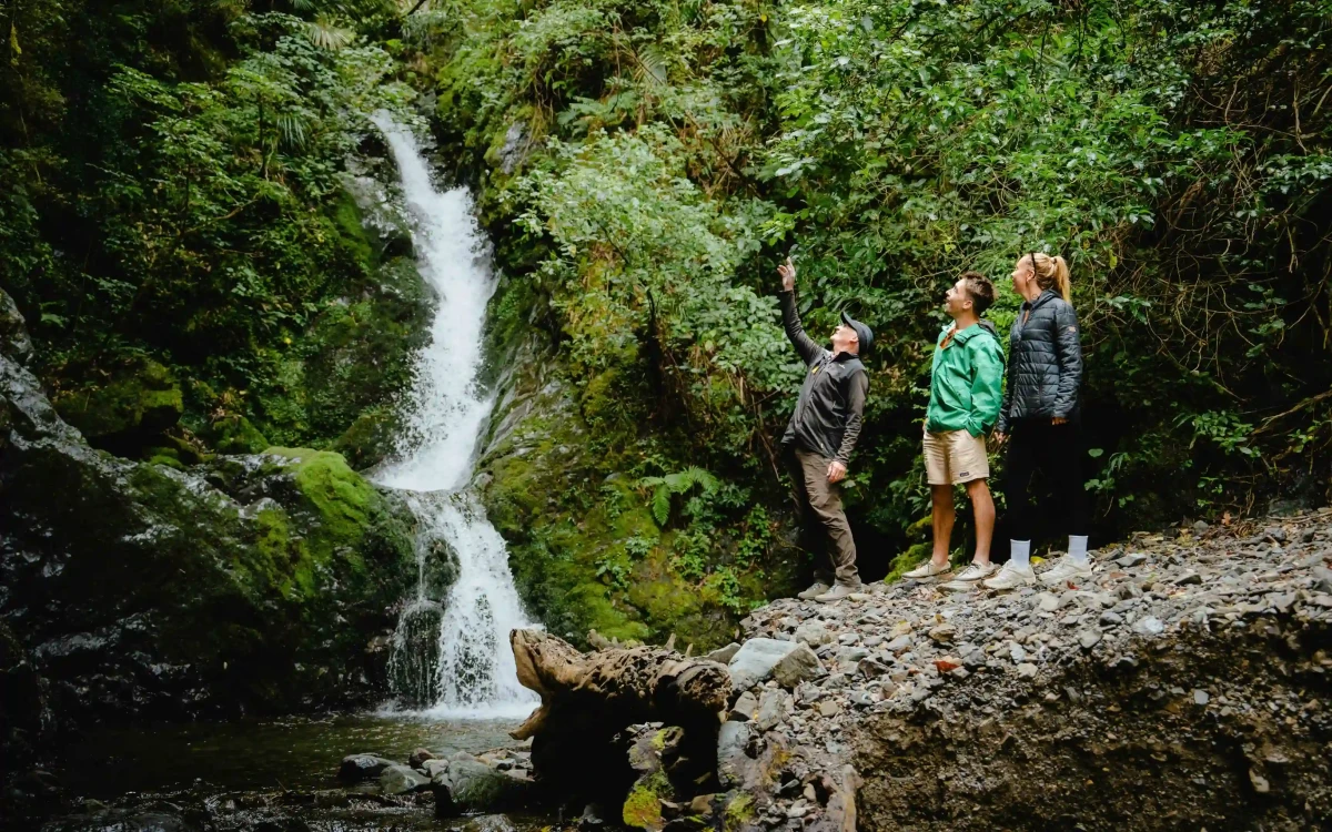 20241118 MotuJets014low res