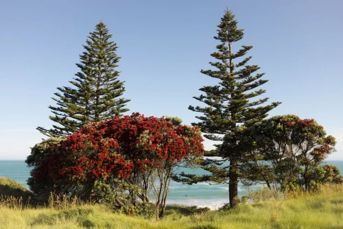 559705 wainui beach web 3840w x 2160h (1)