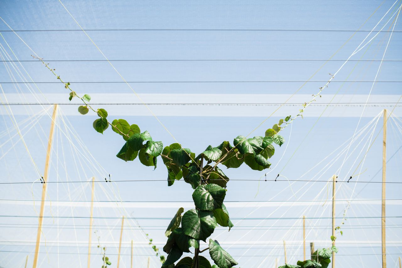 562052 str 8570 web 1280px