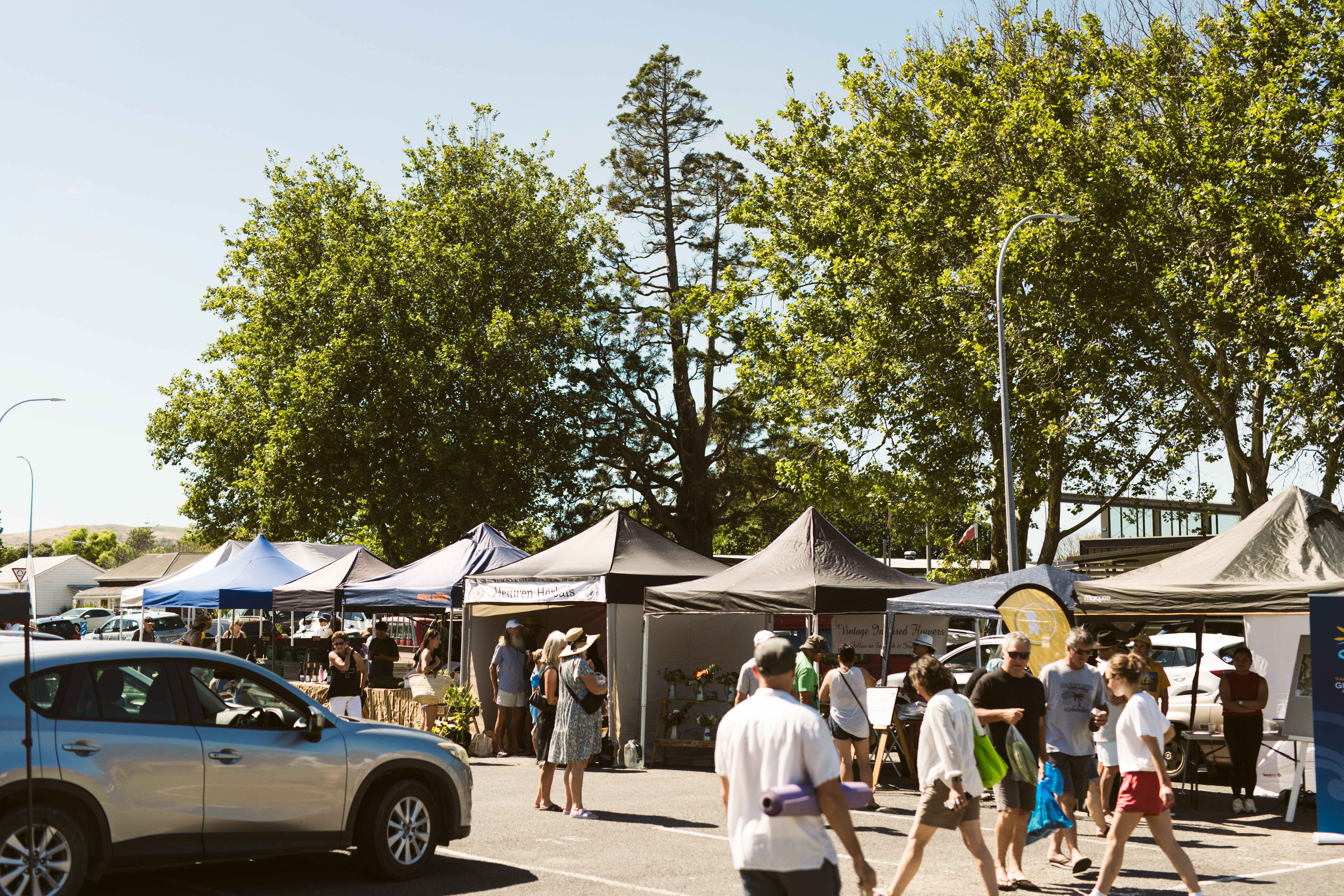 562639 gisborne farmers market v3