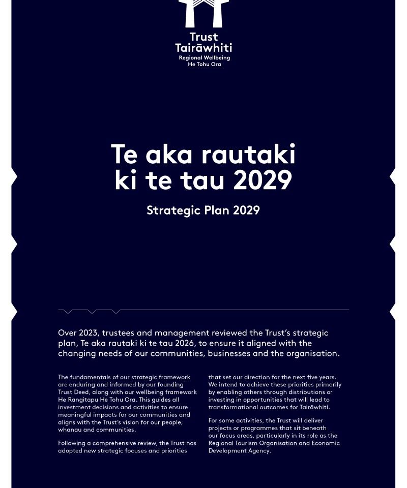 TT Strategic plan 2029 v2