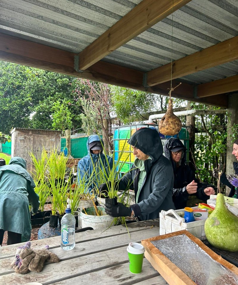 3637f4f8 8a8c 4fe7 8614 0a9c32dd6142