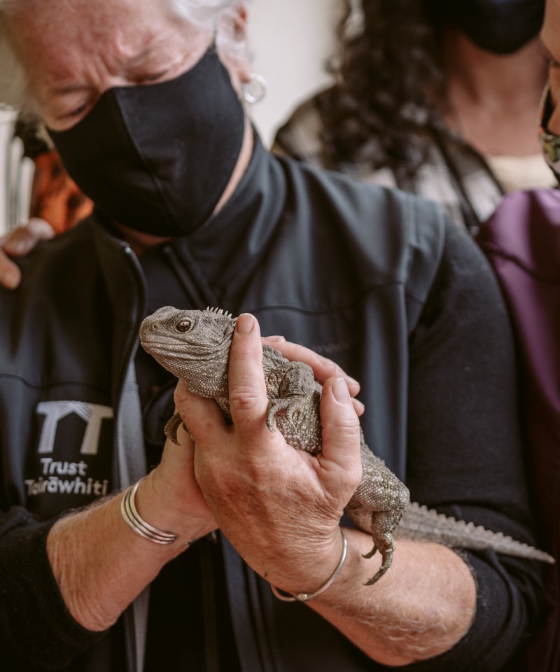 low res 2021 Tuatara release Matawai Motu 178
