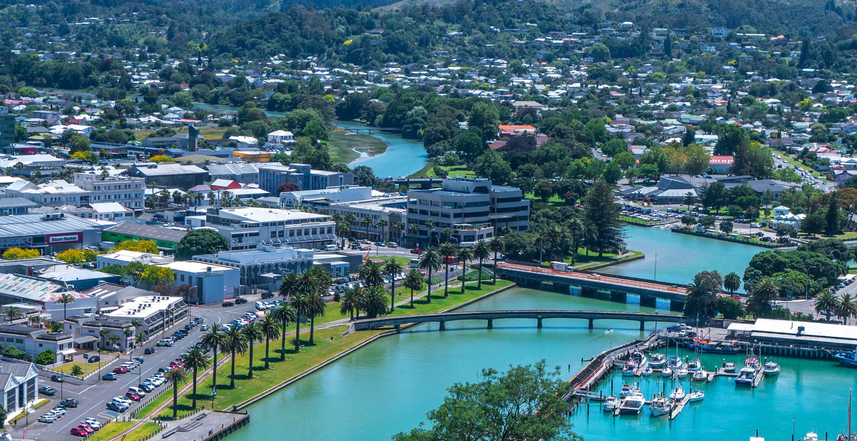 Gisborne 2