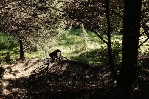 Mountain bike trial upgrades underway at Whataūpoko Reserve