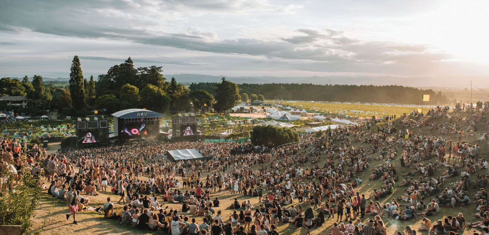 low res TG Postcard Image web Rhythm and Vines 2